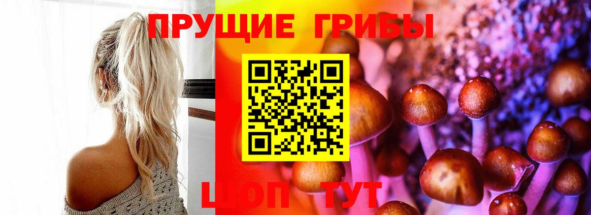 Псилоцибиновые грибы прущие грибы  Галлюциногенные грибы Psilocybe  Вход с VPN  Киржач 